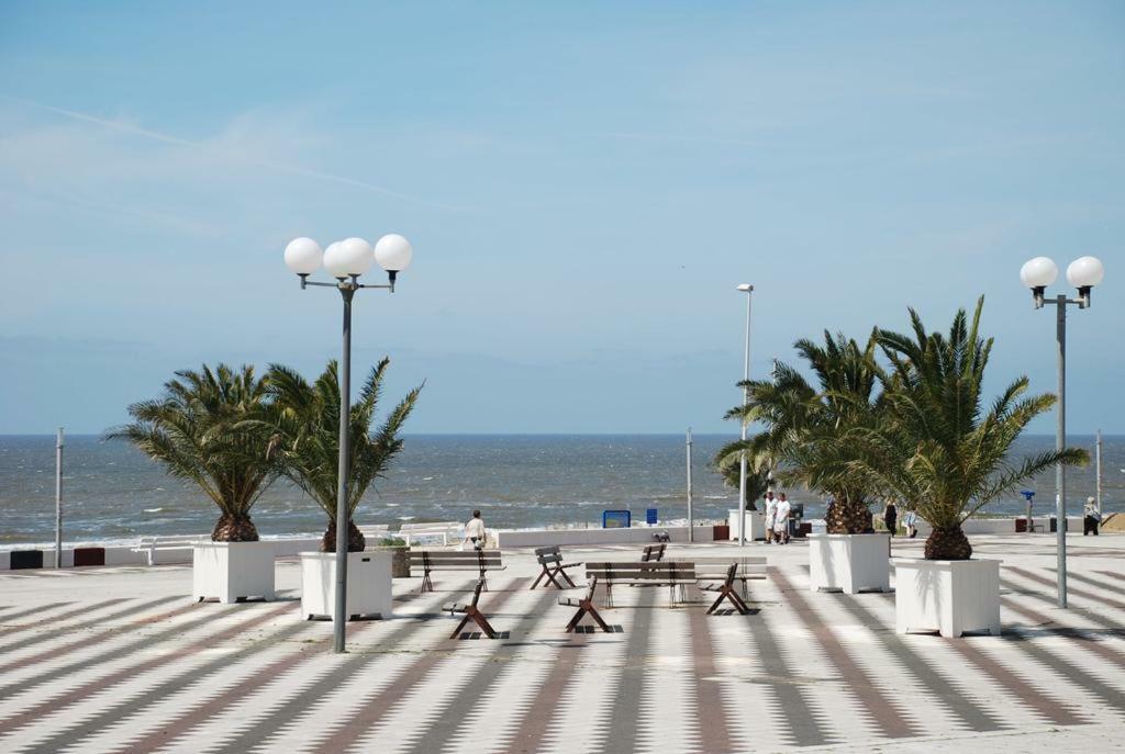 Sunnyzandvoort Exteriér fotografie